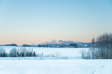 冬の北海道美瑛町の風景