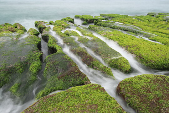 Massive green algae cover the rocky coastline of Laomei in northern Taiwan every spring, coupled with waves surging up along rock fissures during high tide, creates a fascinating and romantic scenery. - Powered by Adobe
