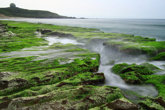 Massive green algae cover the rocky coastline of Laomei in northern Taiwan every spring, coupled with waves surging up along rock fissures during high tide, creates a fascinating and romantic scenery.