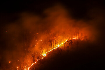 Orange forest fire rages in the mountains at night in Chiang Mai. It causes enormous amounts of toxic dust and smoke. Fires continue to burn, destroying forests and wildlife during the summer. - obrazy, fototapety, plakaty