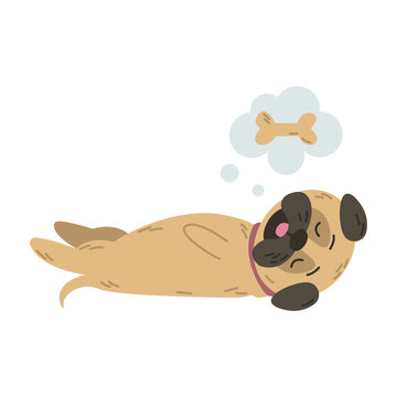 Pug Clipart