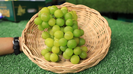 Fototapeta na wymiar Sweet green grapes, natural fruit