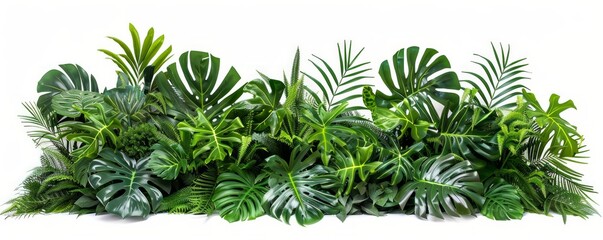 Lush tropical leaves jungle backdrop, isolated on white. - obrazy, fototapety, plakaty