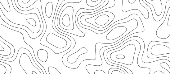 abstract white wave paper curved reliefs background. Topography map pattern, Geographic curved, vector illustration. seamless textrue, vintage waves. Panorama view multicolor wave curve line.