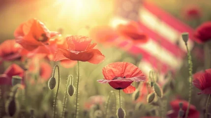 Gordijnen Field of red poppy with american flag on background © Andrii