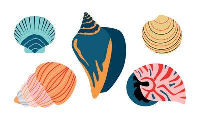 Sea shells set. Nautilus, mollusks. Isolated vector illustration