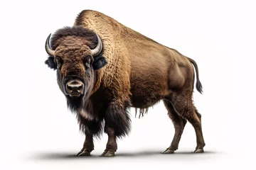 Papier Peint photo Buffle a bison with horns standing
