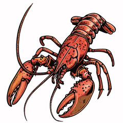 a drawing of a lobster with the word lobster on it