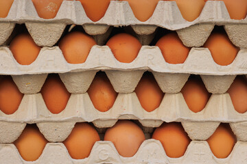 Eggs contained in their Paper Package arranged one on Top of the Other - Side View