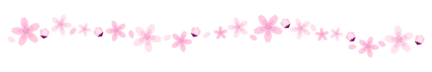 Horizontal divider flowers spring season cherry blossom border decoration flat illustration vector