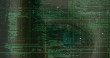 Image of data processing and digital padlock over caucasian woman eye and integrated circuit