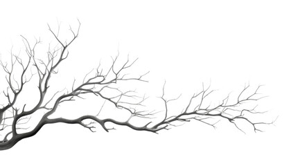 branches silhouette isolated on transparent background cutout