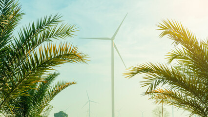 Oil palm trees and electric wind turbines in the morning. Concept of nature and technology - obrazy, fototapety, plakaty