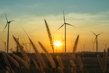 Wind power during sunset.grass flower and wind turbine farm in behind.