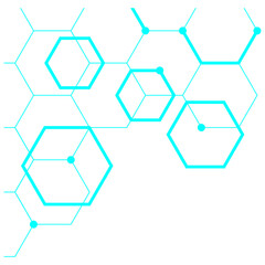 Obraz na płótnie Canvas Hexagon Outline Corner