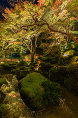 日本　滋賀県近江八幡市安土町にある教林坊のライトアップされた遠州庭園の紅葉