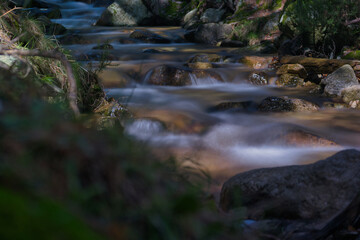 Fototapeta premium landscape, view, mountains, sunrise, nature, trees, plants, spai