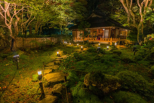 日本　滋賀県近江八幡市安土町にある教林坊のライトアップされた庭園の紅葉と本堂