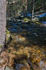 landscape, view, mountains, sunrise, nature, trees, plants, spai