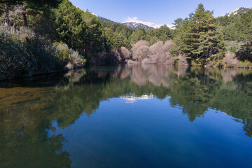 landscape, view, mountains, sunrise, nature, trees, plants, spai