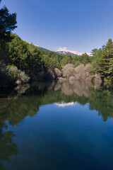 landscape, view, mountains, sunrise, nature, trees, plants, spai