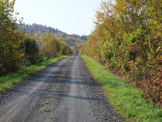 秋の北海道の未舗装道路