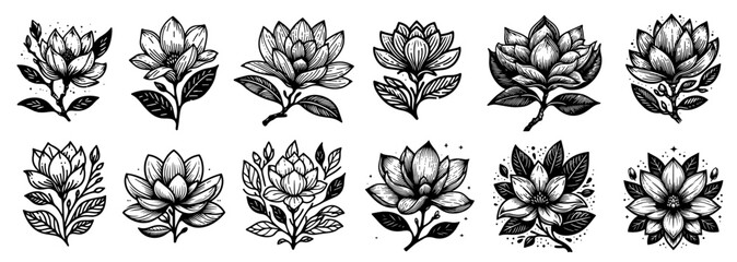 magnolia flowers collection, blooming plants floral decoration, black vector graphic - obrazy, fototapety, plakaty