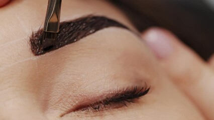 Eyebrow coloring. Professional lamination procedures of female eyebrows in beauty salon. Closeup view of client face and stylist's hands working. 4K Cinematic footage. - Powered by Adobe