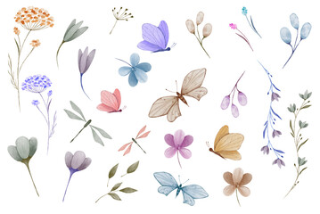 Set of Watercolor elements. Flowers, branches, butterflies and dragonflies on a transparent background for stickers, postcards, patterns  and different design 