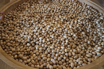 長門おもちゃ美術館　子供　遊ぶ