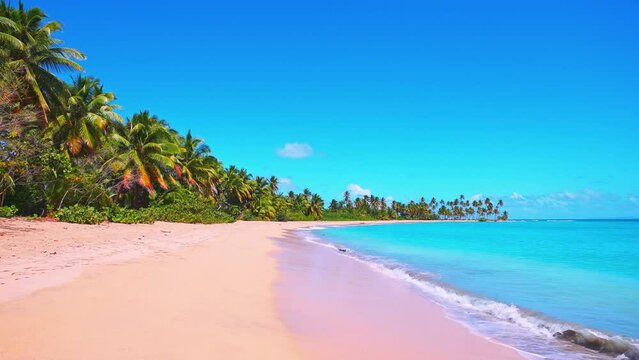 Deserted long wild beach with golden sand and turquoise sea. Tall palm trees and blue sky. Tropical paradise island in the Dominican Republic. The most beautiful beach. Vacations on the seashore.