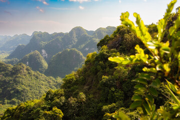 Cat Ba island in Vietnam. Green mountains covered with tropical rainforest