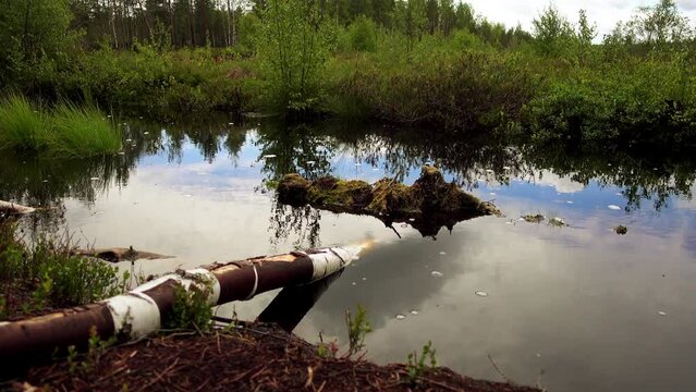 Swamp Viru Raba in Estonia