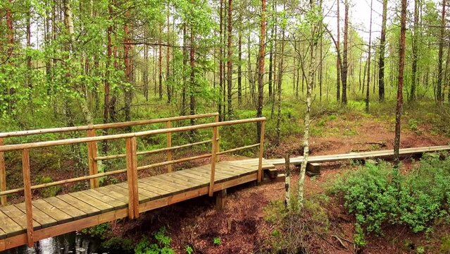 Swamp Viru Raba in Estonia