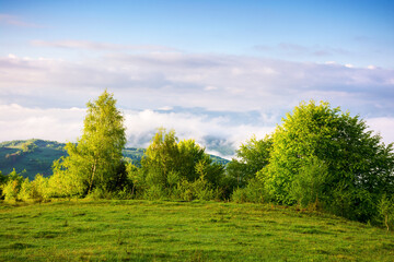 carpathian countryside scenery on a sunny morning in spring. mountainous landscape with grassy meadows and fog in the distant valley. clouds above the mountains