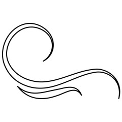 Vector Calligraphic Swirl Ornament
