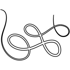 Vector Calligraphic Swirl Ornament
