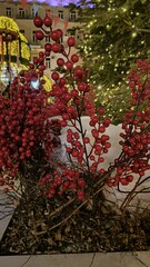 evening in the city, decorated city, Slavic holiday, ornament