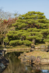 日本　滋賀県彦根市の彦根城のお堀沿いに作られた大名庭園、玄宮園