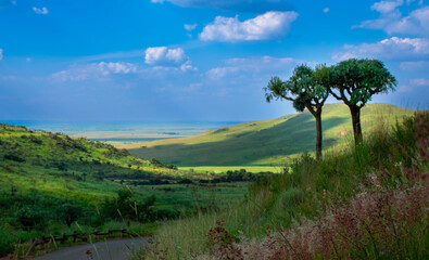 Sunlight lights up a valley, in the Suikerbosrand Nature Reserve, following a brief summer shower.