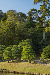 日本　滋賀県彦根市の彦根城のお堀沿いに作られた大名庭園、玄宮園