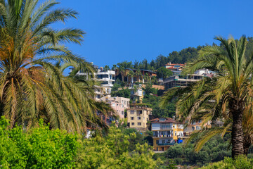 Southern cityscape, view of buildings and houses, palm trees and mountains, in public places in...