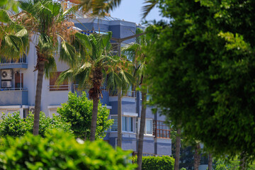 Southern cityscape, view of buildings and houses, palm trees and mountains, in public places in...