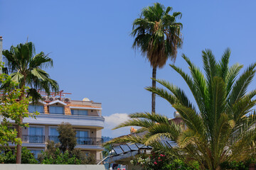 Southern cityscape, view of buildings and houses, palm trees and mountains, in public places in...