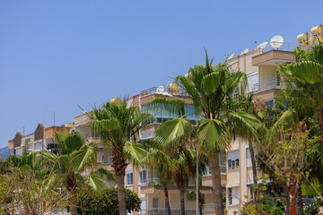 Southern cityscape, view of buildings and houses, palm trees and mountains, in public places in...