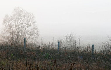 Foggy autumn morning in the countryside with a fence of barbed wire and concrete pillars