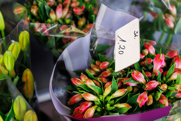 Many colorful array of fresh alstroemeria flower bouquets on display at an outdoor street city...