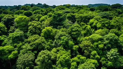 Fotobehang Drone view  lush forest canopy absorbing co2 for carbon neutrality and net zero emissions © Roman Enger