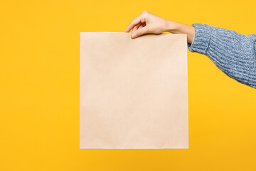 Close up cropped female holding in hand hold brown clear paper takeaway bag isolated on pastel...