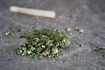 Pure legal Dried Marjiuana ganja marjiuana joint detail